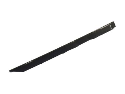 2022 Jeep Renegade Door Moldings - 68256321AA