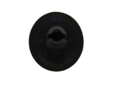 Mopar 68140488AA RETAINER-Push Lock