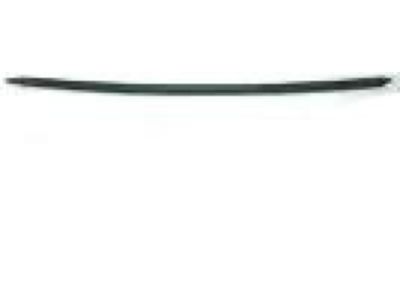 2016 Ram 4500 Door Seal - 55369293AE