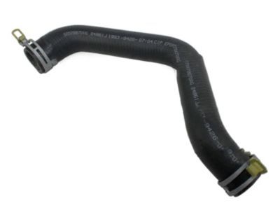 Dodge Ram 1500 Radiator Hose - 52028870AE