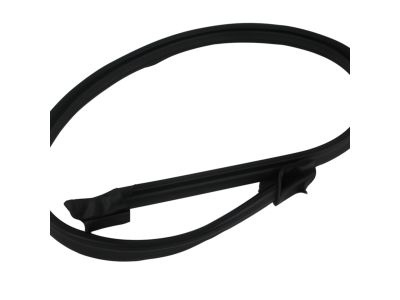 2010 Jeep Wrangler Weather Strip - 55395244AF