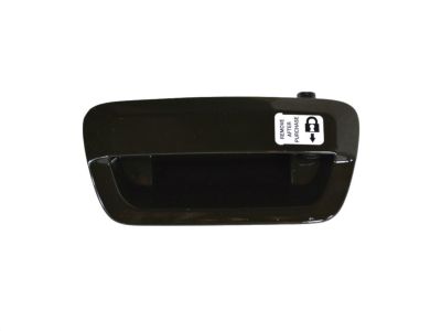 Mopar 1YK38PGRAD Handle-LIFTGATE