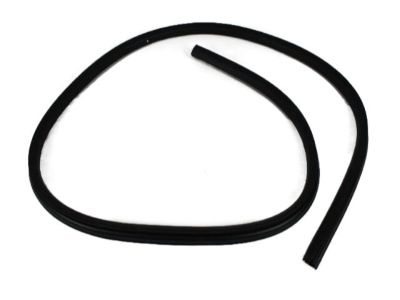 2002 Jeep Grand Cherokee Weather Strip - 55363160AB