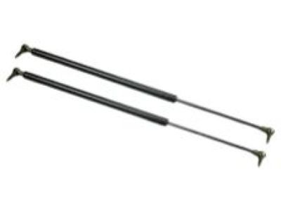 2002 Chrysler Concorde Lift Support - G0004256AB