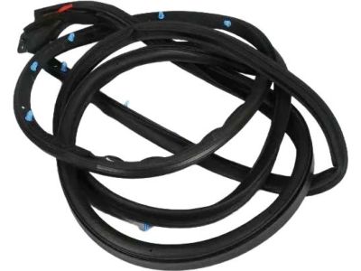 Mopar 68040045AI WEATHERSTRIP-Front Door Mounted