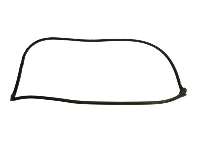 2014 Dodge Charger Weather Strip - 68040045AI