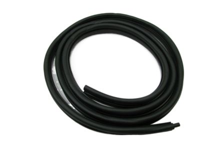 Dodge Durango Weather Strip - 55256396AC