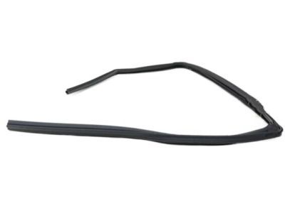 Mopar 55399171AJ WEATHERSTRIP-Rear Door Glass Run