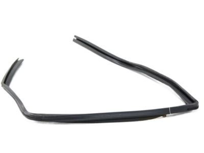 Mopar 55399171AJ WEATHERSTRIP-Rear Door Glass Run