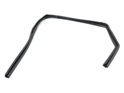 Mopar 55399171AJ WEATHERSTRIP-Rear Door Glass Run