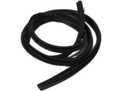 Dodge Journey Weather Strip - 5076860AG
