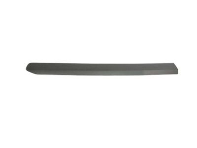 2022 Ram ProMaster City Door Moldings - 5YF68JXWAA