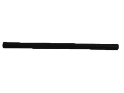 1999 Dodge Dakota Weather Strip - 55257342AB