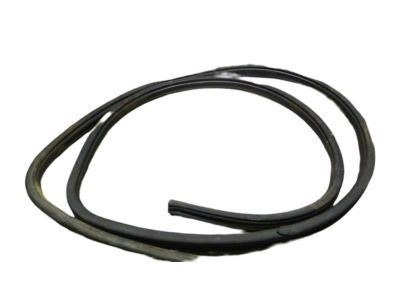 2000 Dodge Ram Wagon Weather Strip - 55359201AA