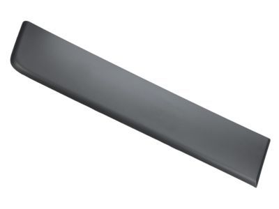 2017 Ram ProMaster 2500 Door Moldings - 1ZT29LAHAA