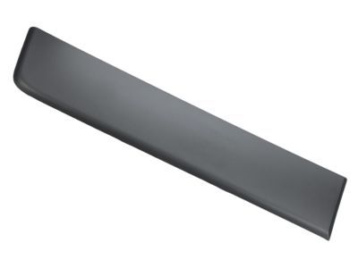 Ram Door Moldings - 1ZT29LAHAA