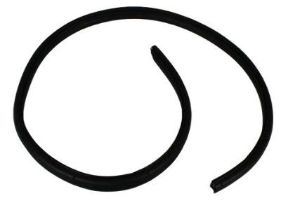 Mopar 55135869AC Seal-Body Side