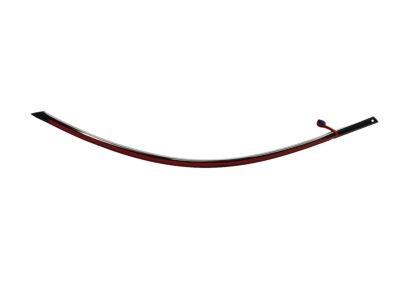 Mopar 57010505AI Molding-Front Door