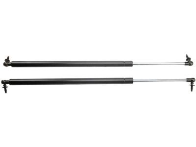 Dodge Caravan Trunk Lid Lift Support - 4894554AG