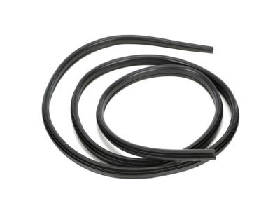 Jeep Commander Weather Strip - 55396698AE