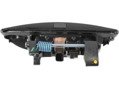 Mopar 1MZ85DX8AG Handle-Front Door Exterior