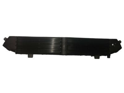 Mopar 68438679AA Grille-Active Shutter