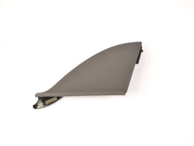 Chrysler Pacifica Door Moldings - 5RT89DX9AB