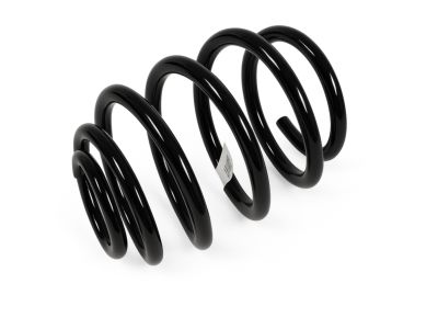 Mopar 52113006AA Spring