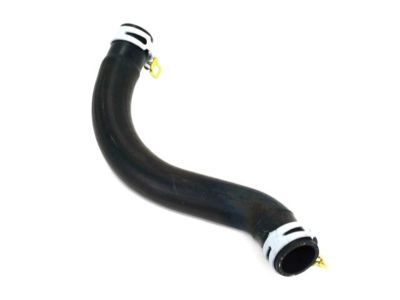 Dodge Ram 3500 Radiator Hose - 52028826AD