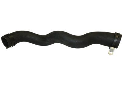 Dodge Durango Radiator Hose - 55038025AA