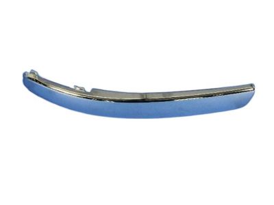 1SD80SZ0AA Mopar Fascia Applique Product Photo 2 of 3