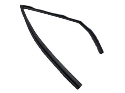 Mopar 55399189AE WEATHERSTRIP-Rear Door Glass Run