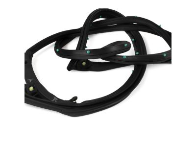 Mopar 5074644AF WEATHERSTRIP-Front Door Mounted