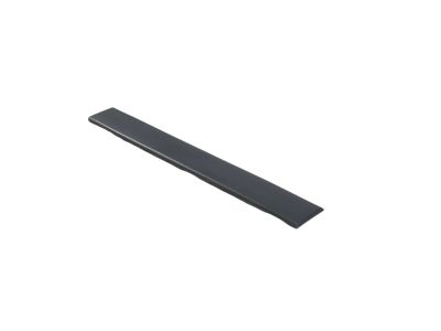 Ram ProMaster 1500 Door Moldings - 1ZT43LAHAA
