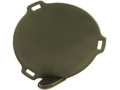 Mopar 5303888AB Cover-Lamp Opening