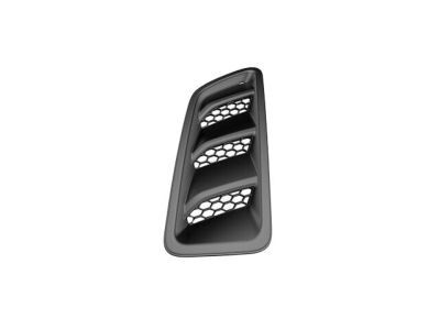 Mopar 68293749AA Bezel-Hood