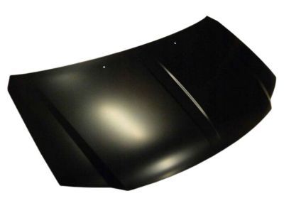 Dodge Grand Caravan Hood - 4894793AD