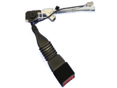 2013 Dodge Challenger Seat Belt - 1HZ101DVAD