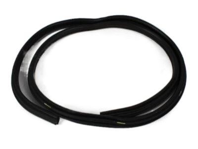 2008 Dodge Ram 5500 Weather Strip - 55277293AA