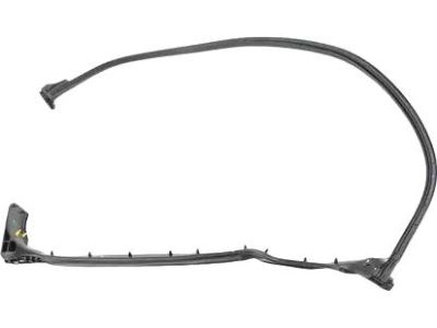 Mopar 68229643AA WEATHERSTRIP-Cargo Door