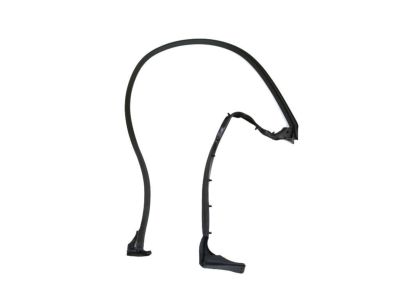 Ram ProMaster 1500 Door Seal - 68229643AA
