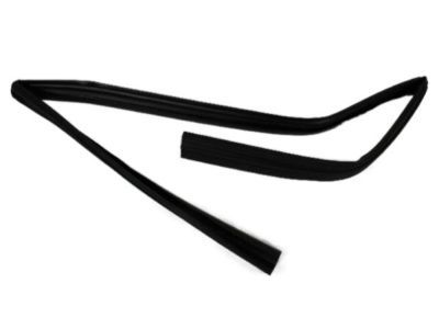 Mopar 55399190AG WEATHERSTRIP-Front Door Glass Run