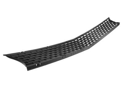 Mopar 6PB51RXFAA Grille-Radiator