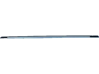 Mopar 57010503AB APPLIQUE-Rear Door