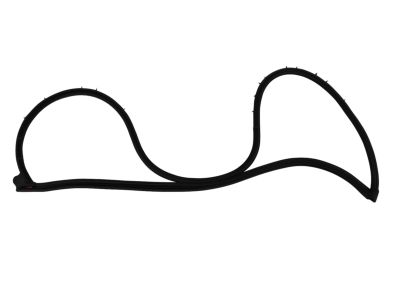 Mopar 68039974AF WEATHERSTRIP-Front Door Mounted