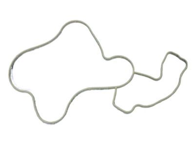 Mopar 68391488AA Gasket-Water Pump