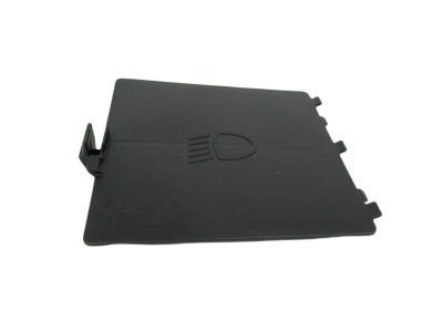 Mopar 68156815AA Door-Access