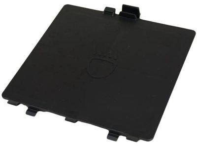 Mopar 68156815AA Door-Access