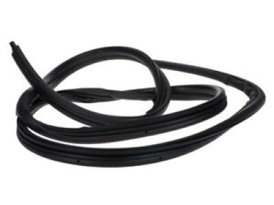 Chrysler Cirrus Weather Strip - 4814779AC