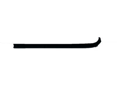 Mopar 4161675 WEATHERSTRIP-Front Door